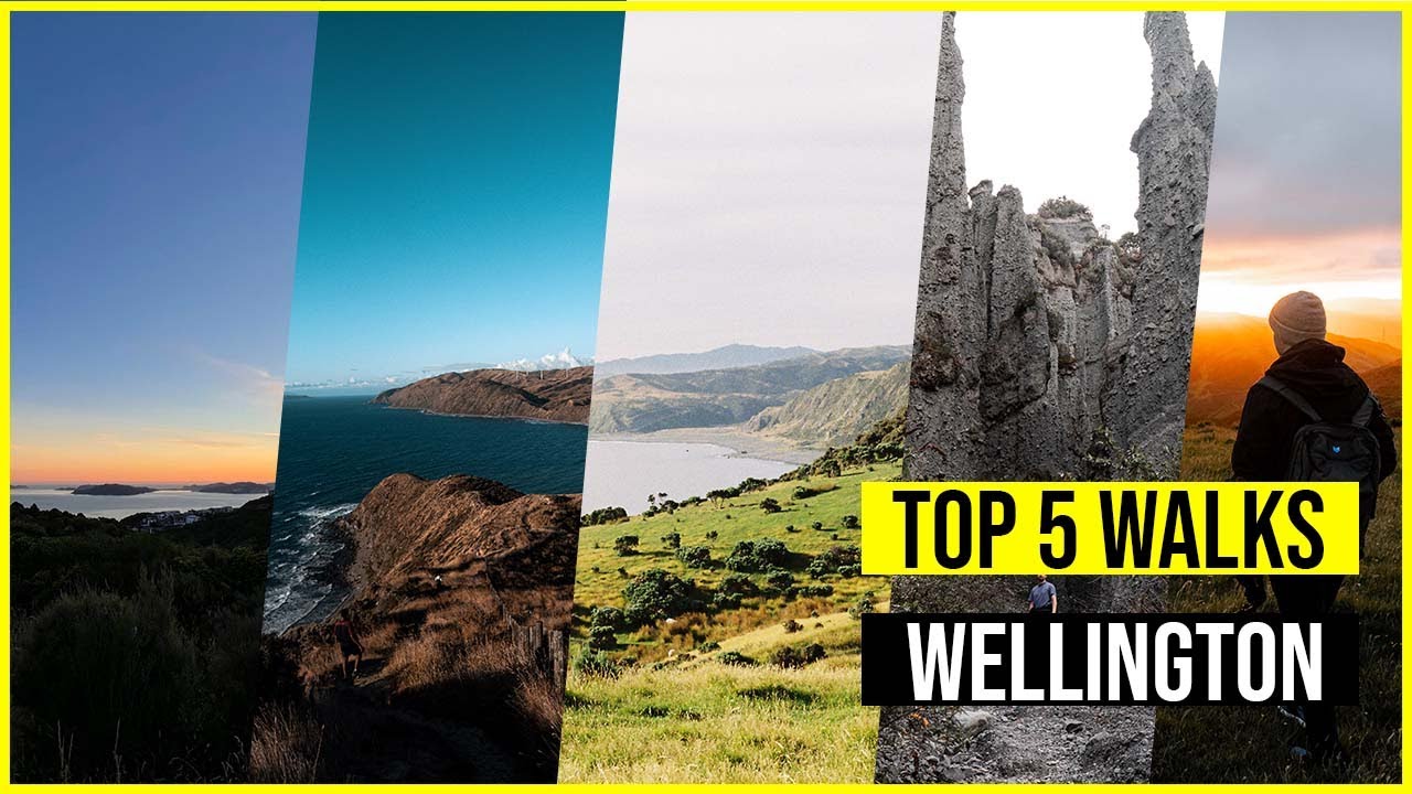 The Top 5 Walks in Wellington New Zealand