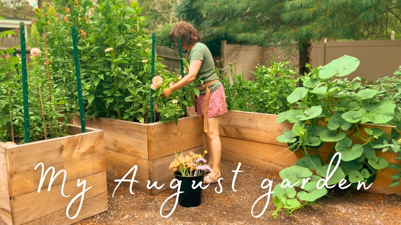 august gardening: flower stand & summer harvests
