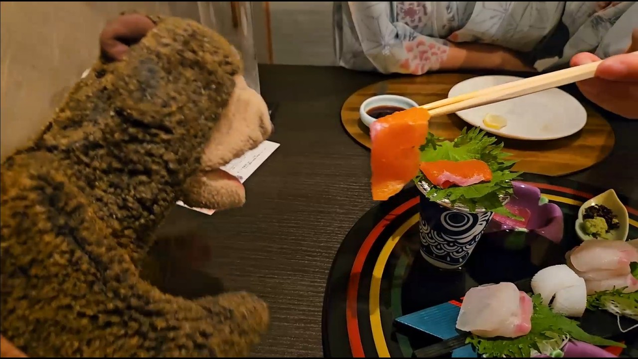 Snug Eats a Fancy 7 Course Japanese Dinner!
