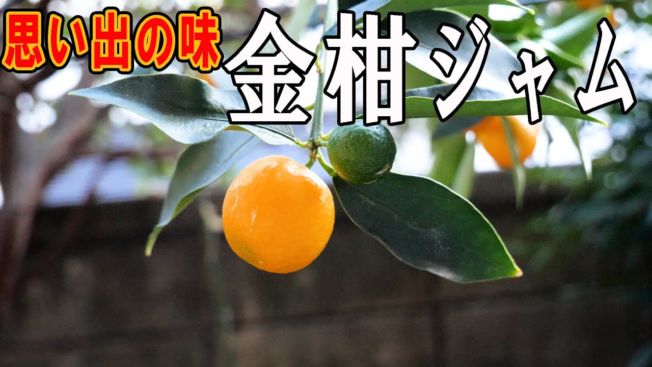 癒された 実家の金柑ジャム｜香りまでおいしい手仕事 vlog