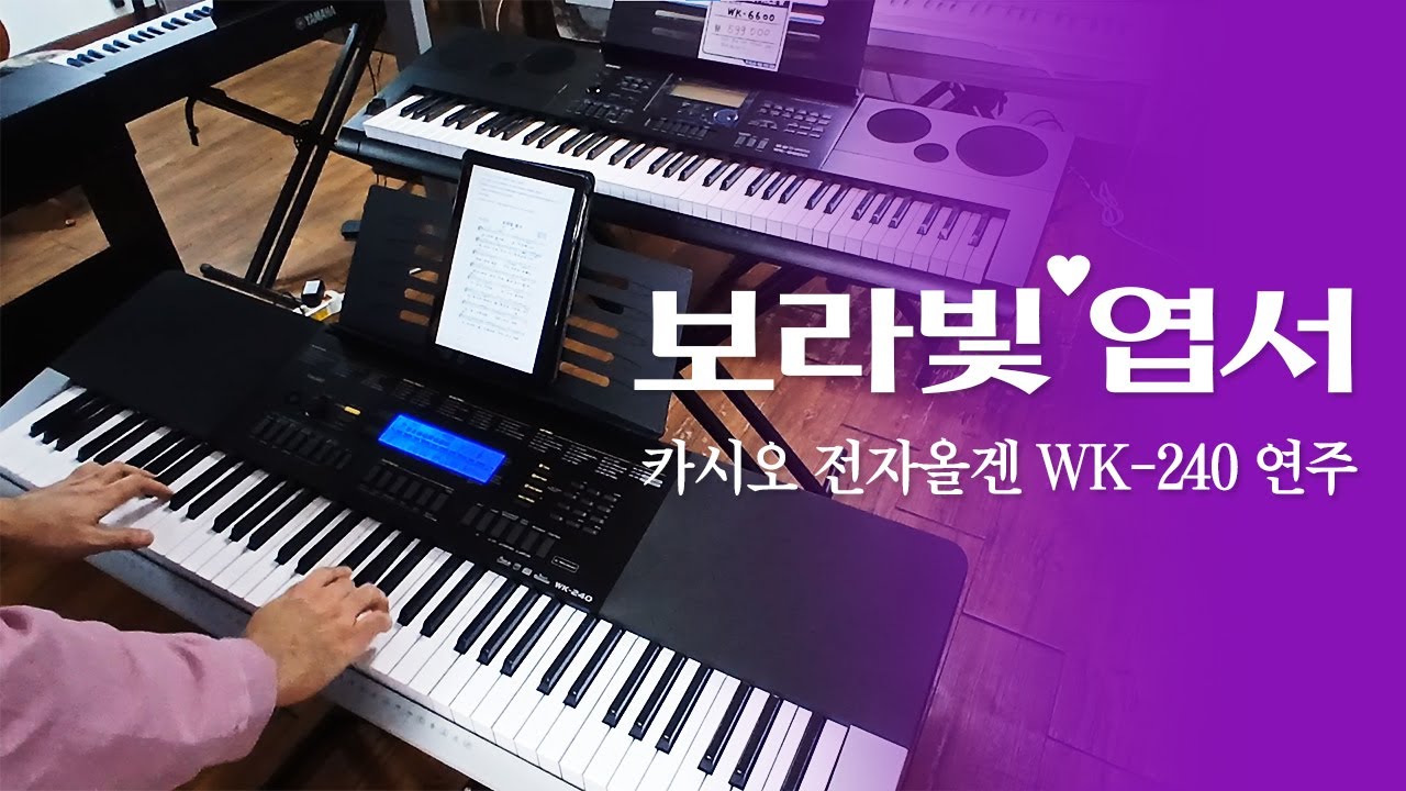 설운도 - 보라빛 엽서 / 카시오 전자올겐 WK240 연주