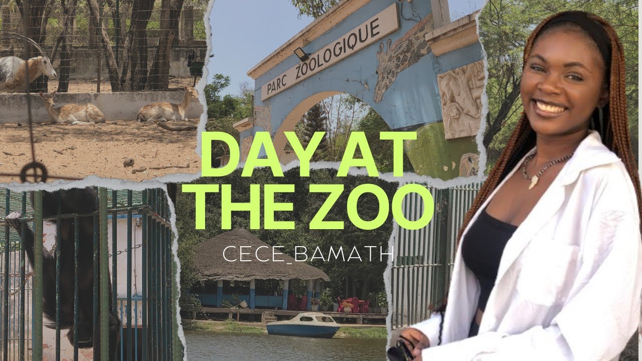 Je vous emmène avec moi au parc zoologique de Hann à Dakar