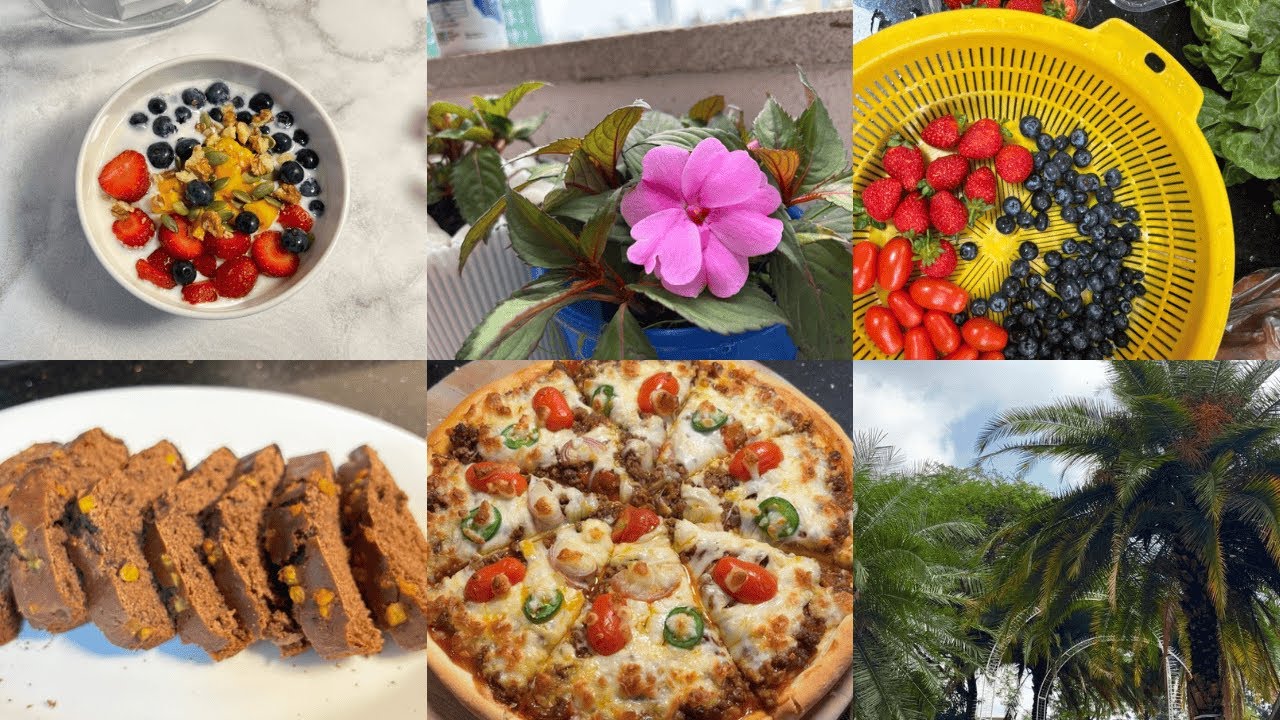 🌸Life in Ethiopia🍒 |silent vlog |Grocery 🛒| cooking 🥘 |cleaning #silentvlog #dailyroutine #momlife