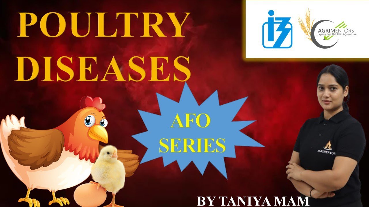 Important Poultry Diseases | AFO SERIES 2025