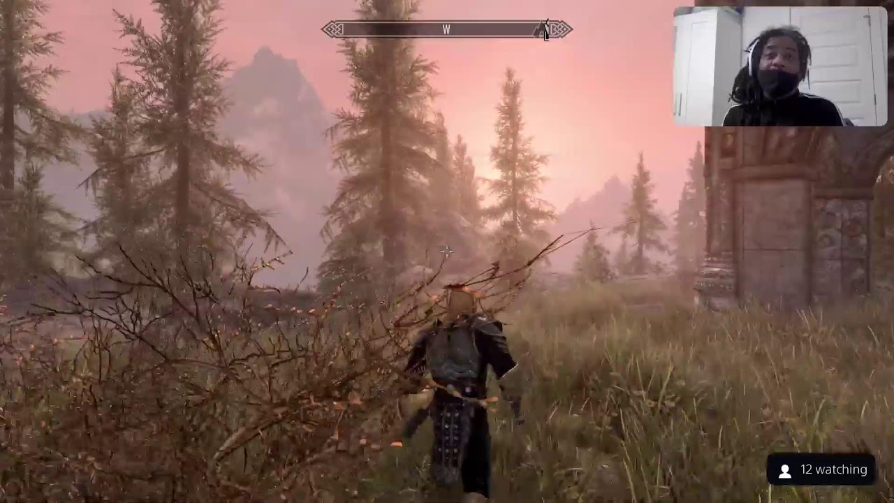 Skyrim & Chill  Monday Edition