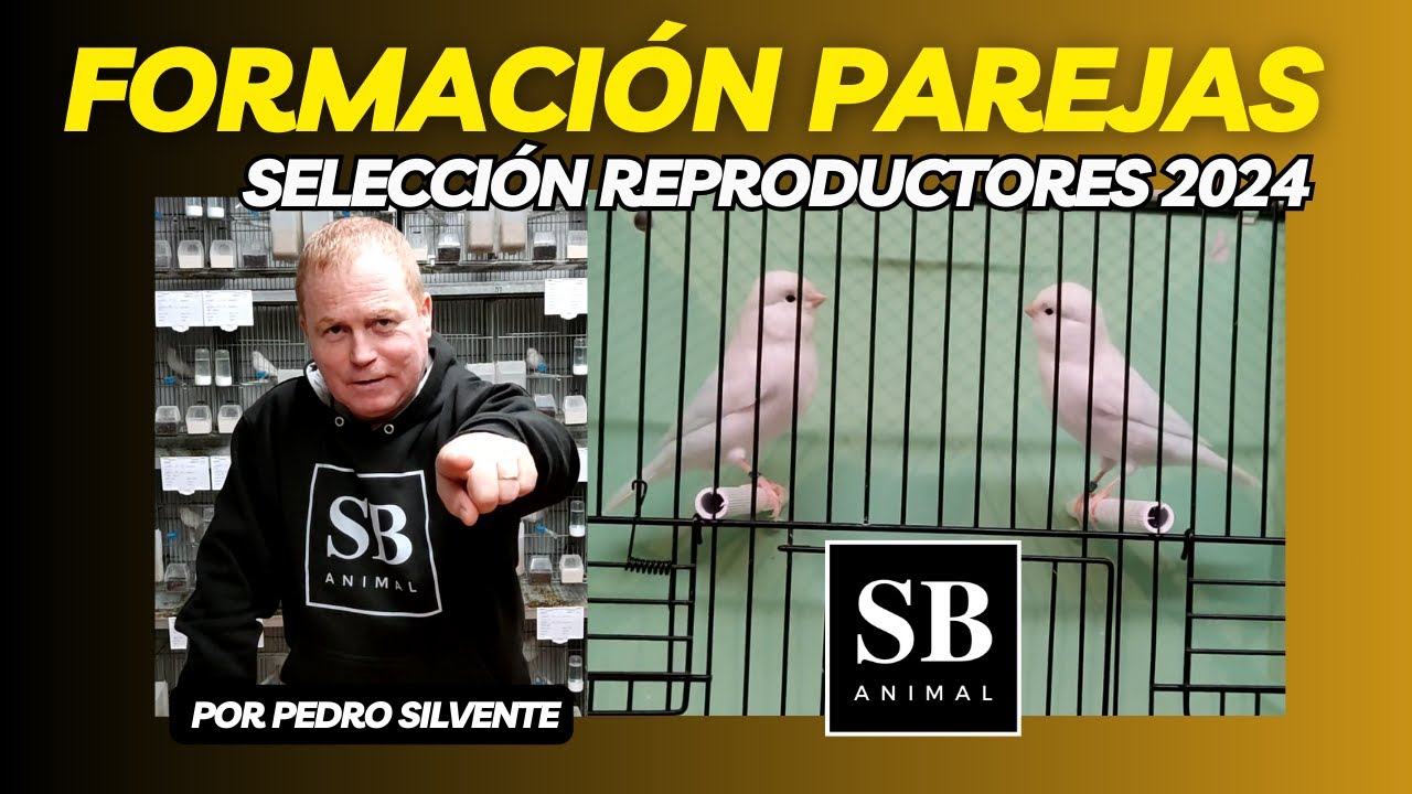 FORMACIÓN PAREJAS Y SELECCIÓN REPRODUCTORES 2024