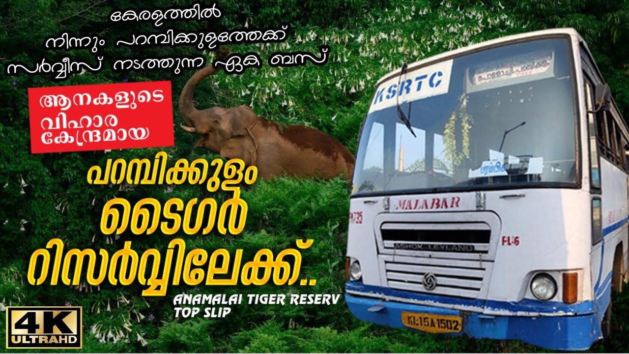 Parambikulam KSRTC Trip | Parambikulam Tiger Reserve | പറമ്പിക്കുളത്തേക്ക് ഒരു ആനവണ്ടി യാത്ര