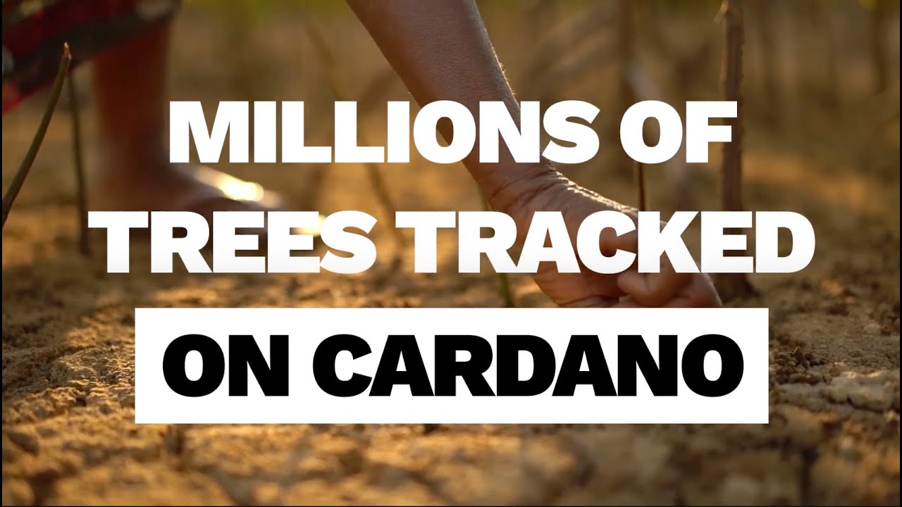 Blockchain for Sustainability - 1 Million Trees Planted in Partnership with Veritree