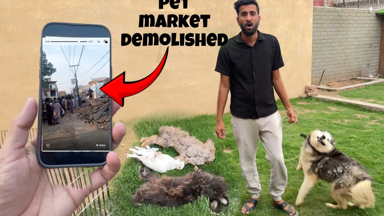 Multan Birds Market Ko Tor Dya Giya😭