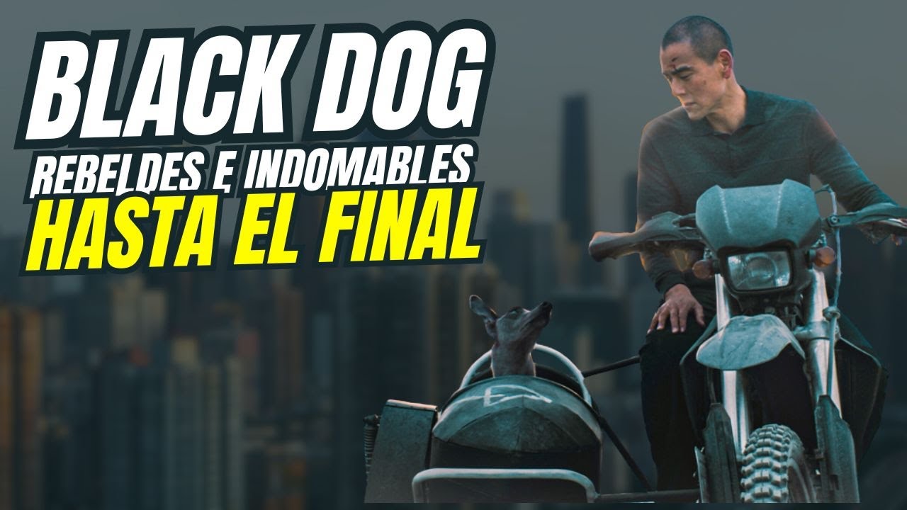 BLACK DOG. MODERNIDAD A CONTRACORRIENTE EN CHINA. ESTRENOS.