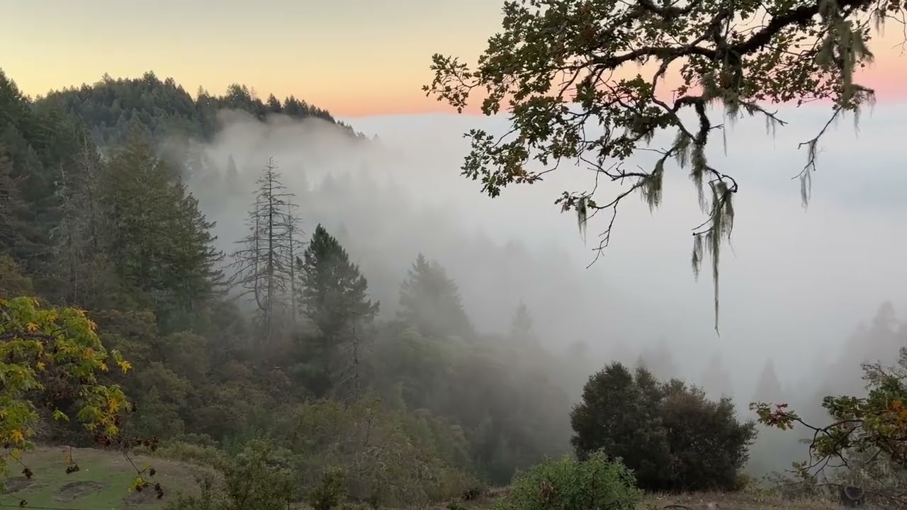 October at Ridge Haven - clouds, fog, rain, sunrises, fall, time lapses, Jack (relaxing, peaceful)