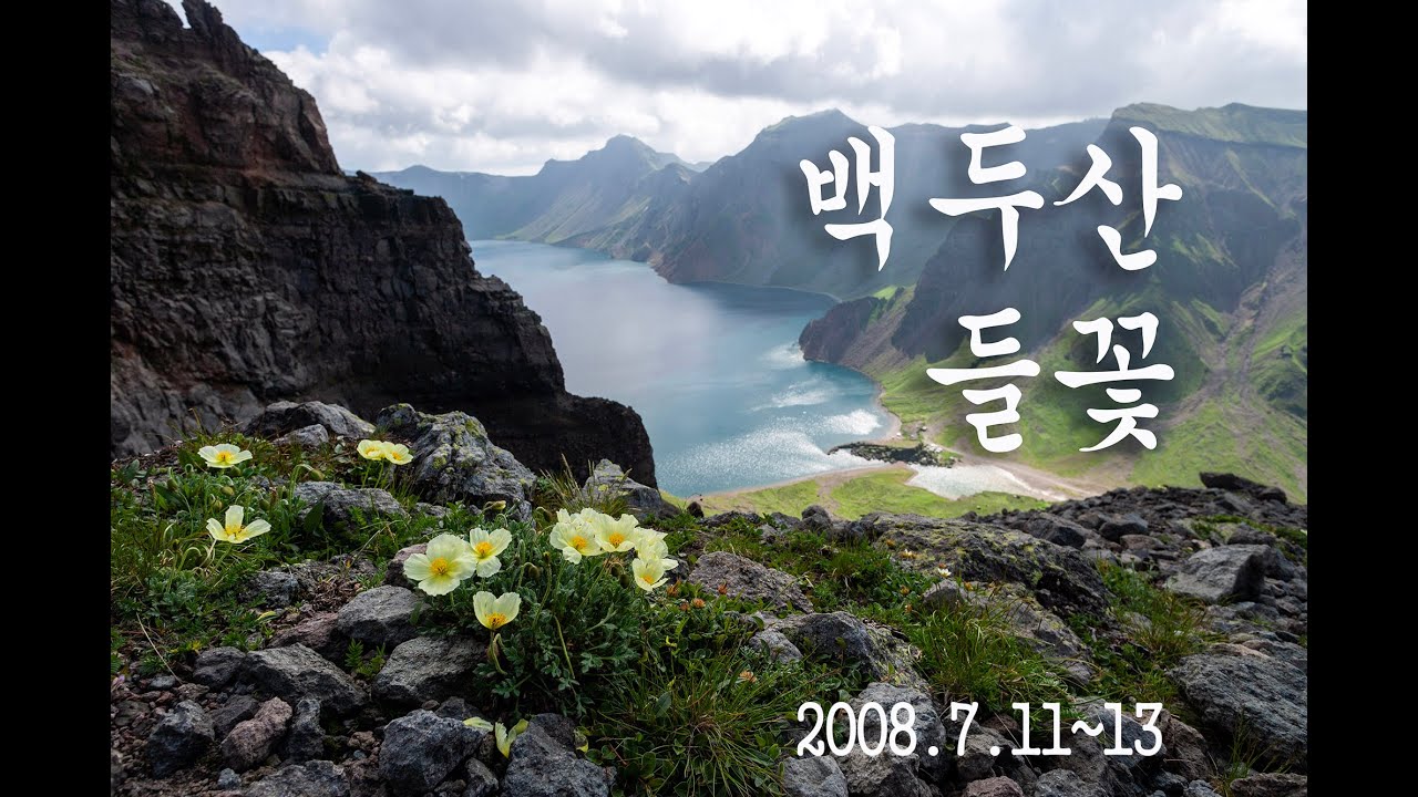 백두산 들꽃