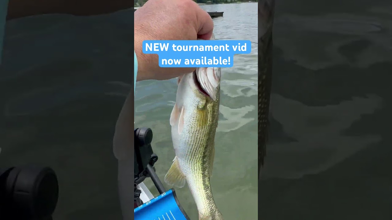 New bass tournament video! #kayakfishing #fishing #basstournament #fishingtournament  #funfishing