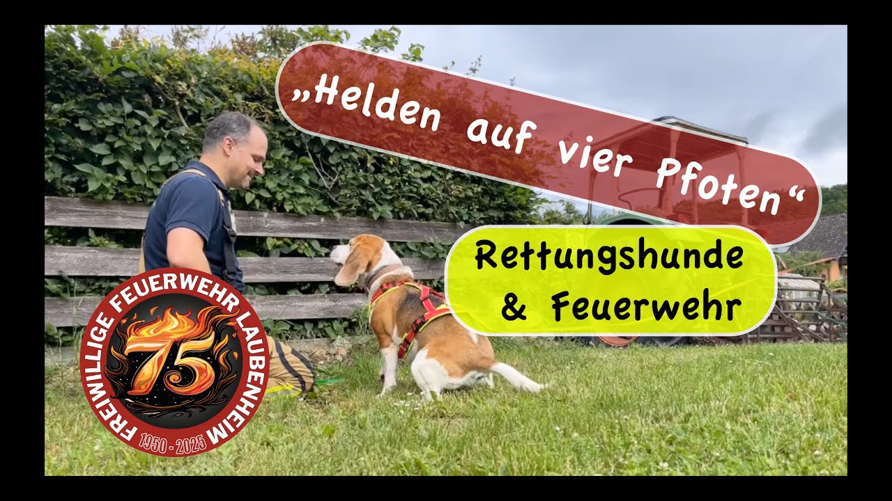 Helden auf vier Pfoten &ndash; Rettungshunde & Feuerwehr im Einsatz