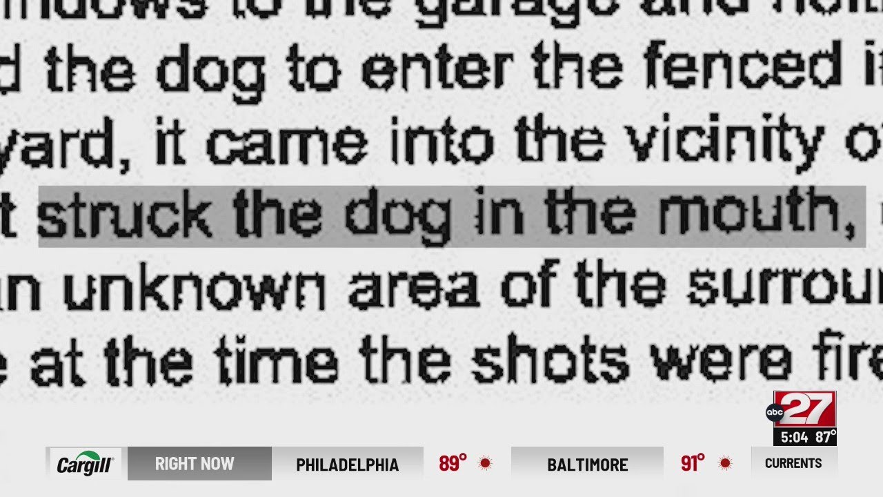 Pennsylvania State Parole agents charged after dog shot during home visit