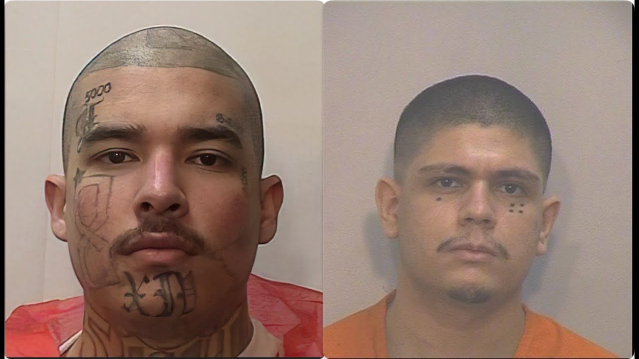 Norteno Gang Members Fight To The Death Inside Of Pelican Bay State Prison #california #supermax