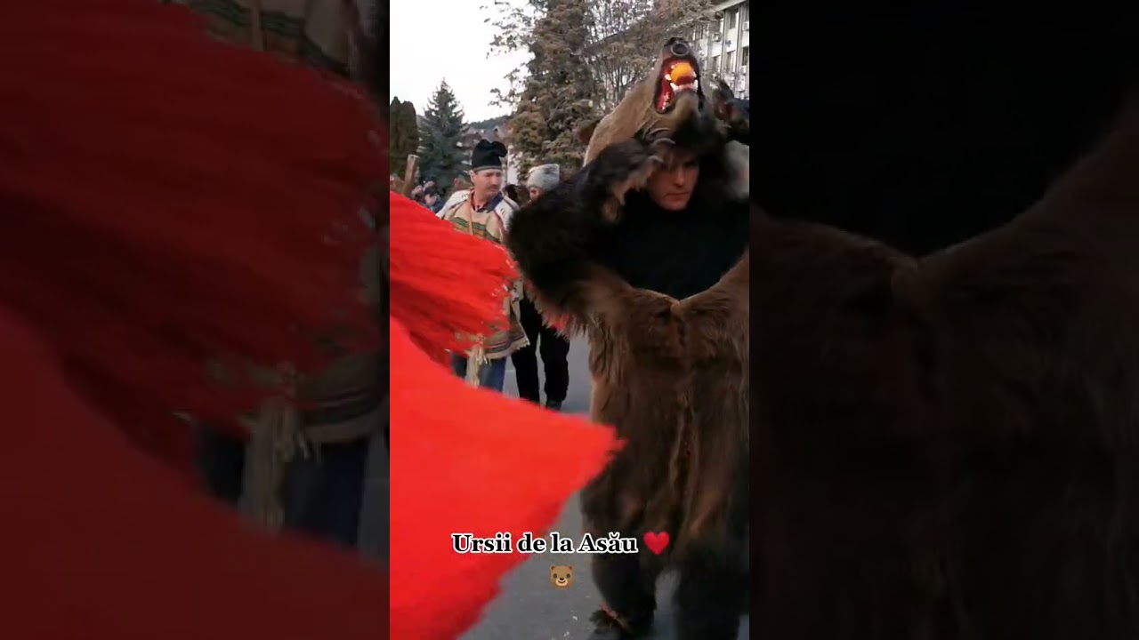 Datini, obiceiuri și traditii  de Anul Nou #comănești #traditii #joculursului #tradition #capra