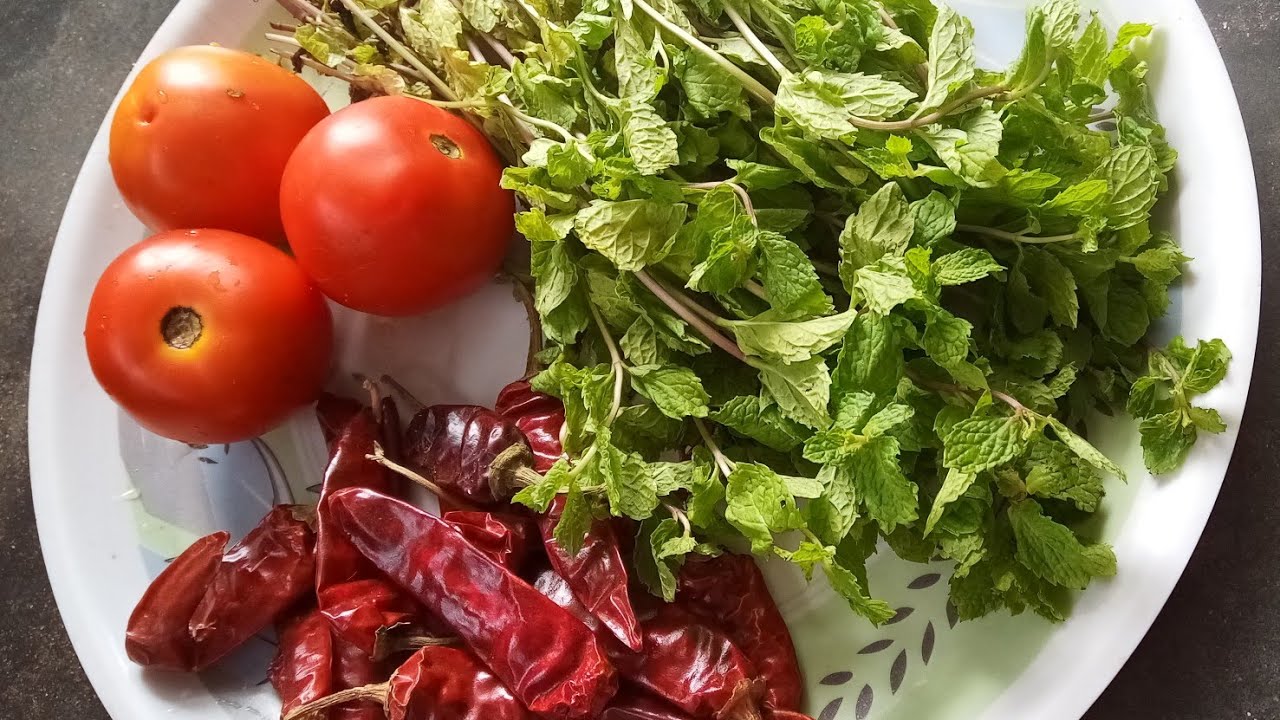 Tomato mint leaves chutney | pudina roti pachadi | టమాటో పుదీనా రోటి పచ్చడి | @geethaallrounder