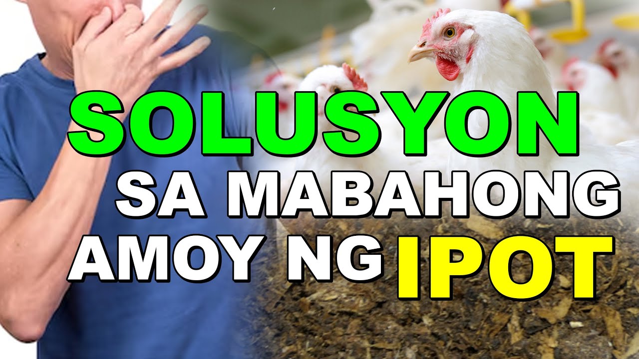 SOLUSYON SA MABAHONG AMOY NG IPOT