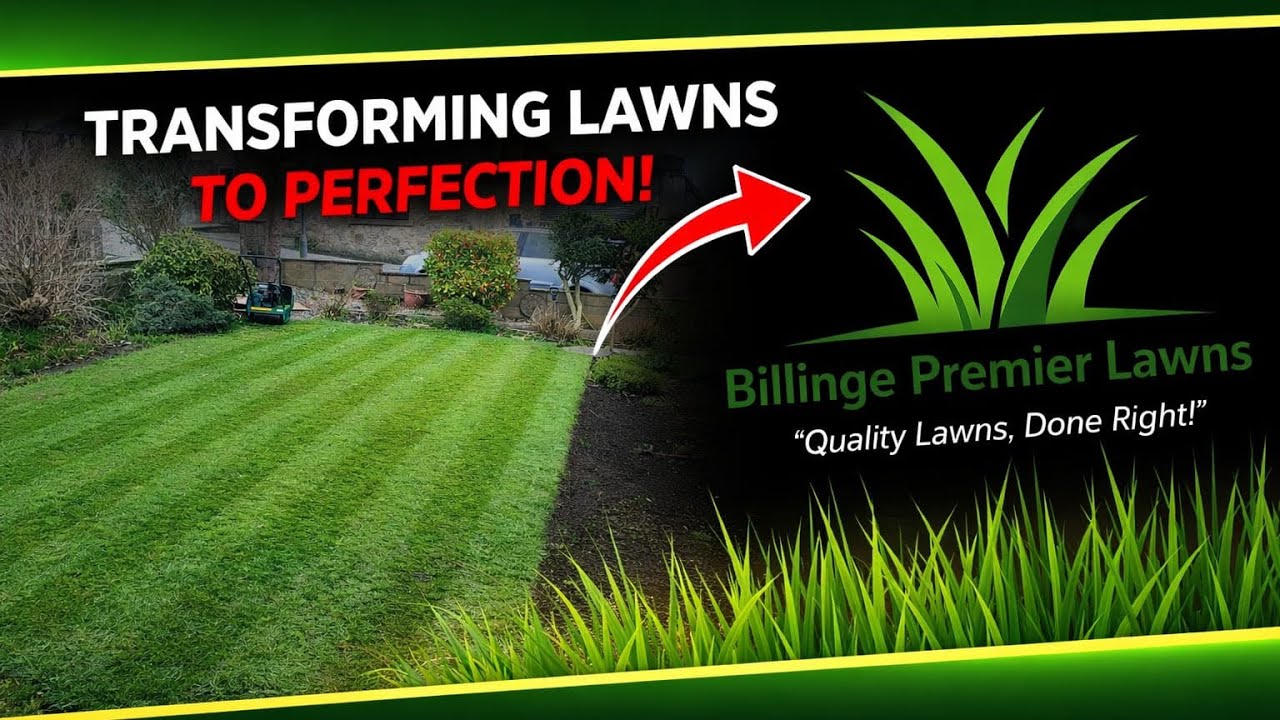This Lawn Needed HELP… Here’s What Happened 👀