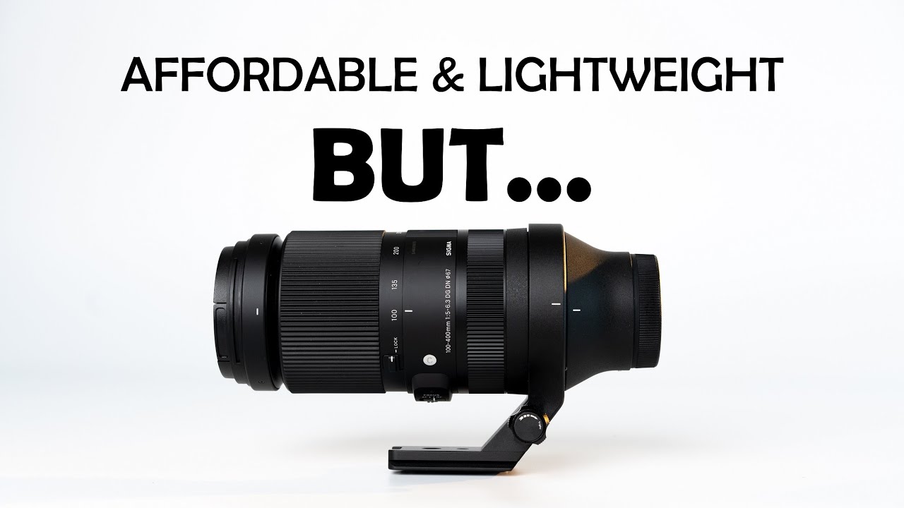 Sigma 100-400mm DG DN Comprehensive Lens Review | Hard To Recommend For Wildlife Photography.