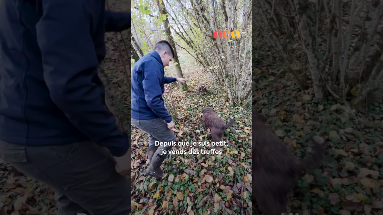 &Agrave; 19 ans, Adrien est chercheur de truffes avec ses deux chiens