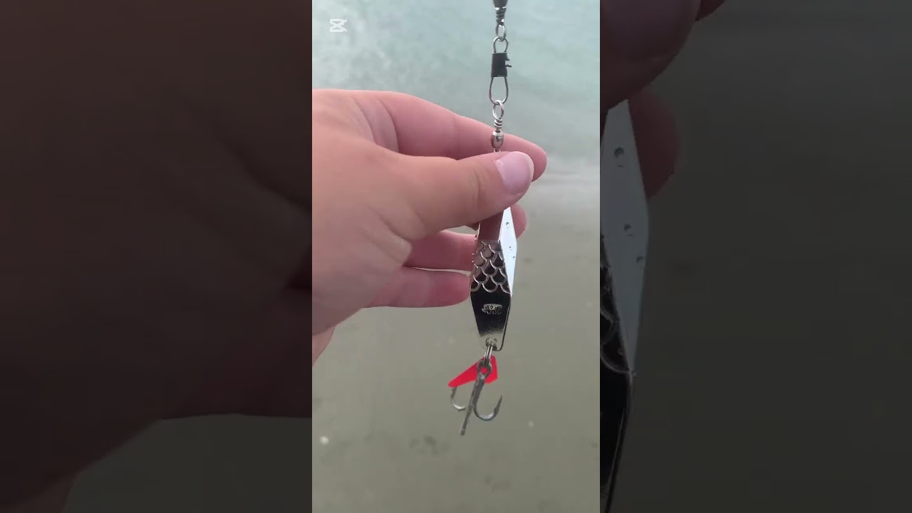 Fishing in an estuary 