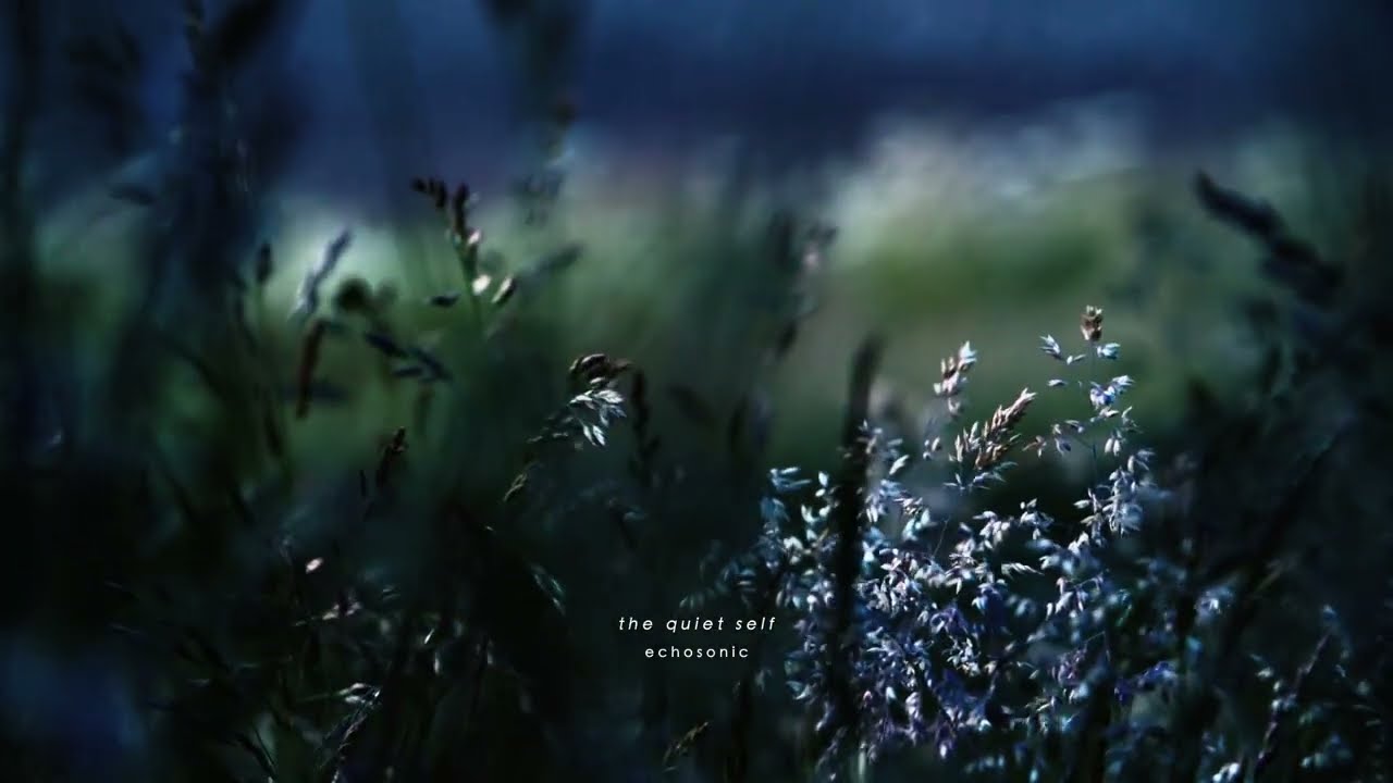 T H E - Q U I E T - S E L F  |  Ambient Reflections for Inner Stillness