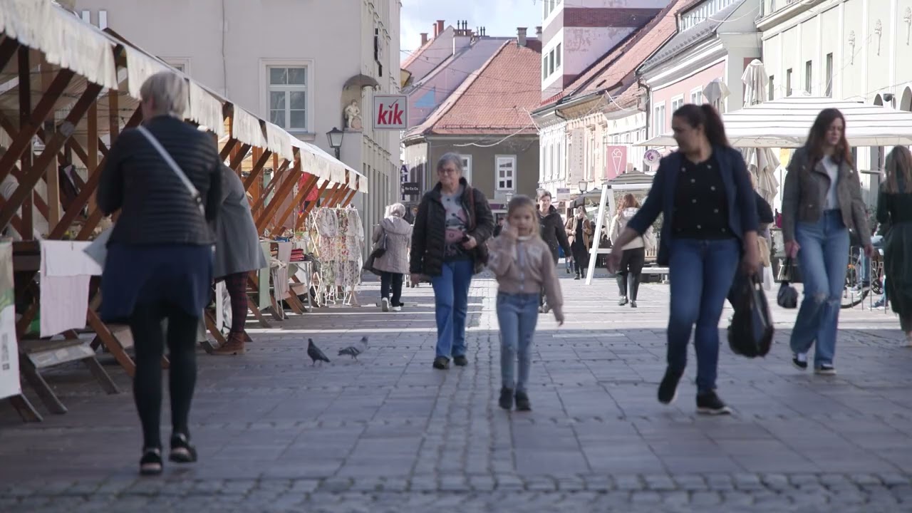 Regionalno, Slovenija: Slovenija privablja predvsem fizične delavce