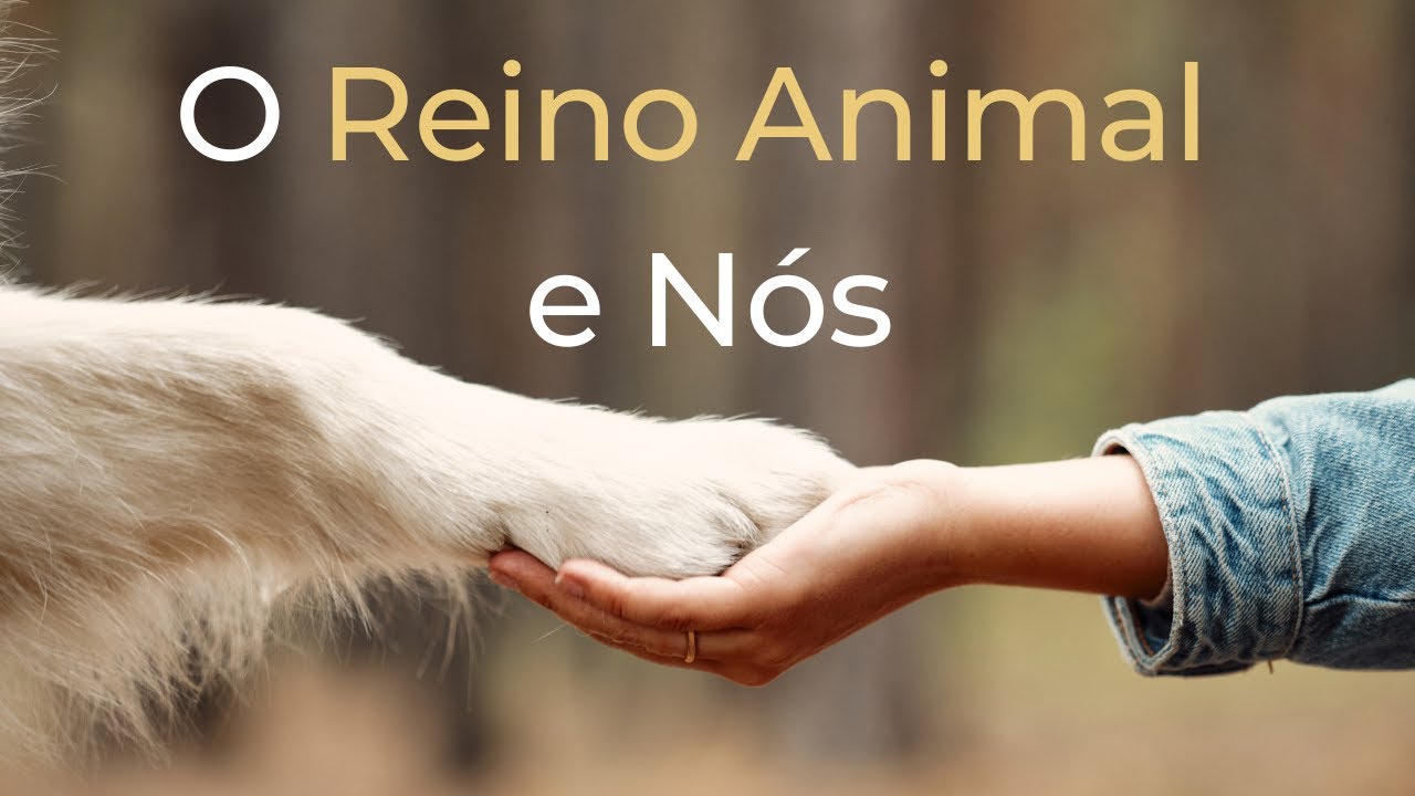 Trigueirinho | O Reino Animal e Nós