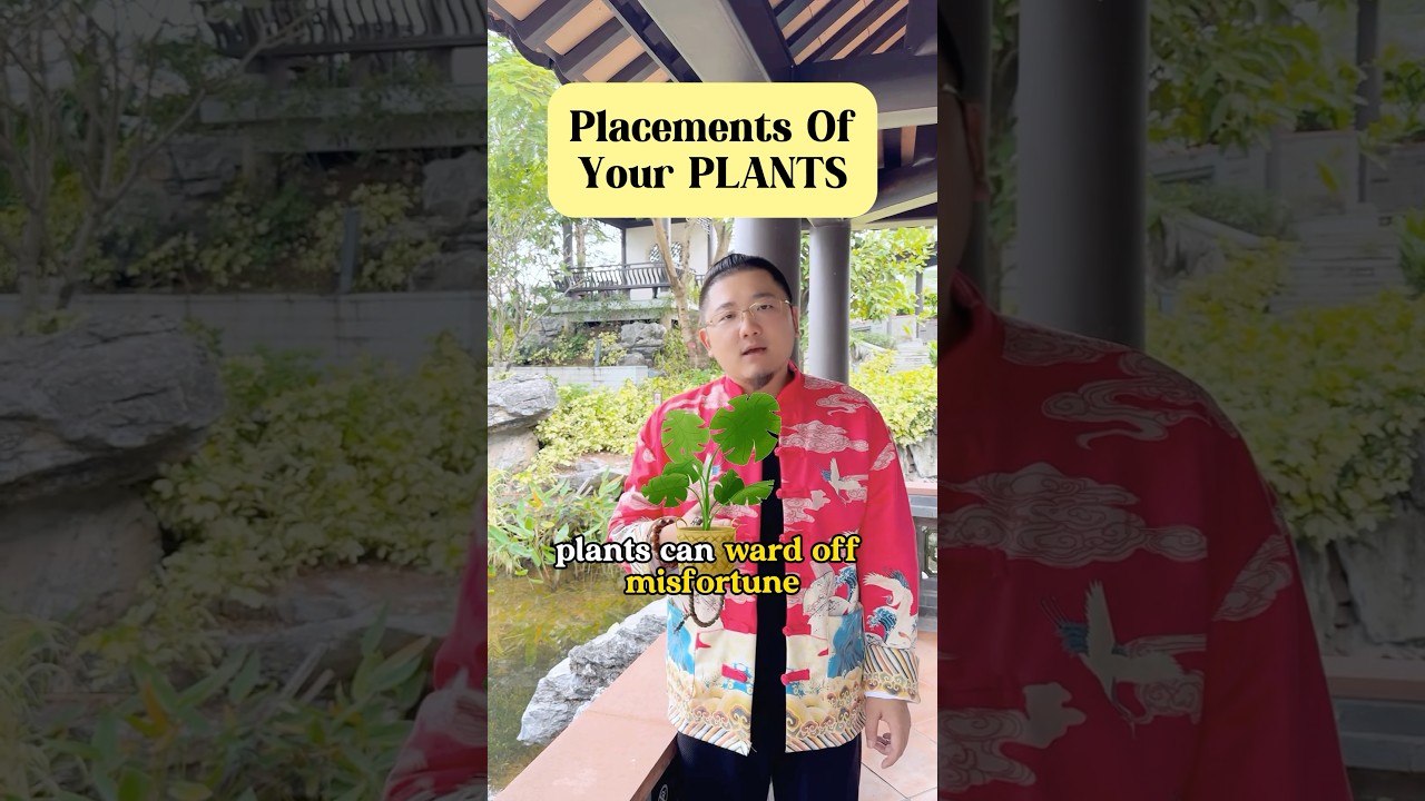 Arrange these PLANTS properly to boost your luck #fengshui #money #energy #tips #life #plants #home