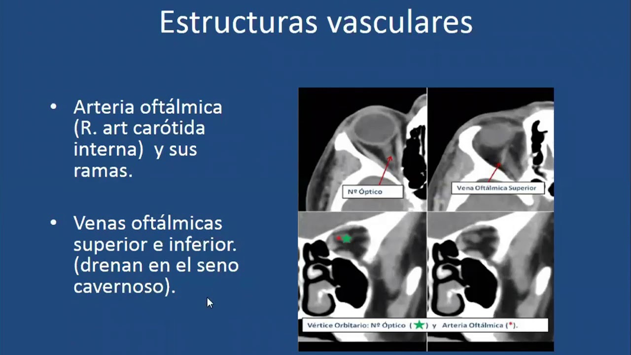 Orbita