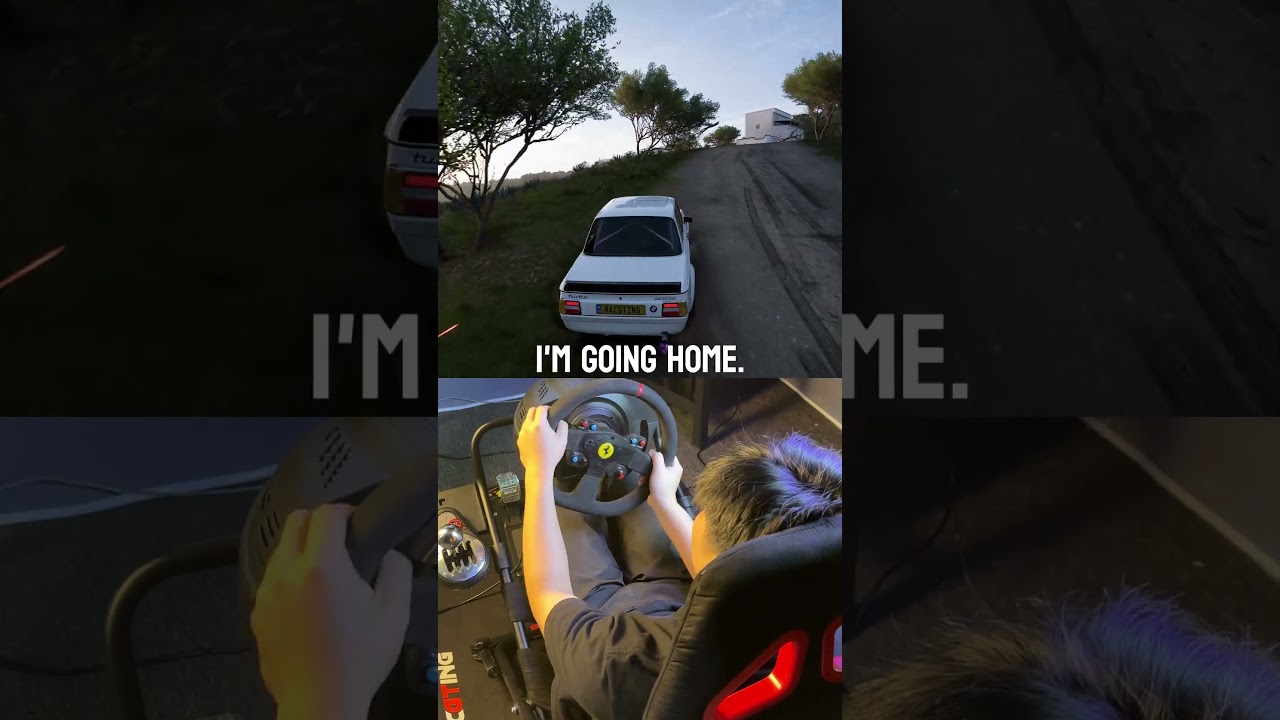 me: 🤡#parking #parkingsolution #forzahorizon5 #automobile #simrig