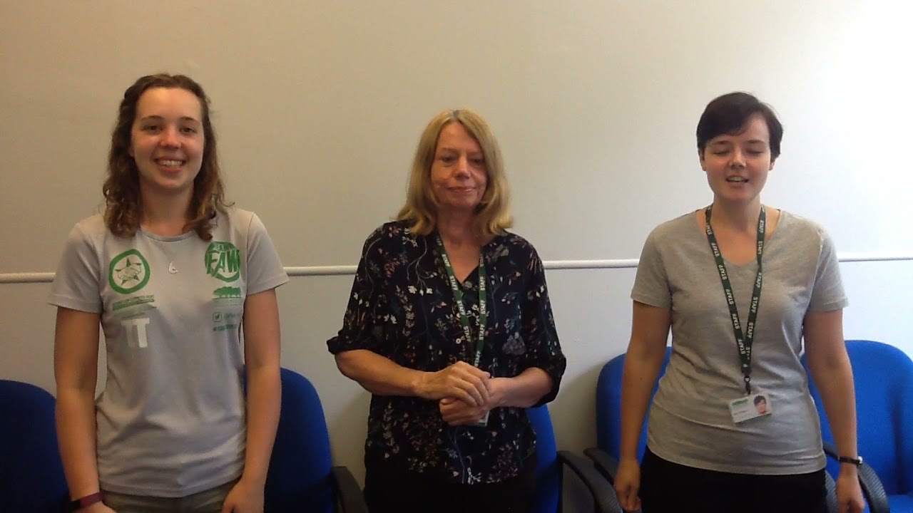 Some basic Makaton signs