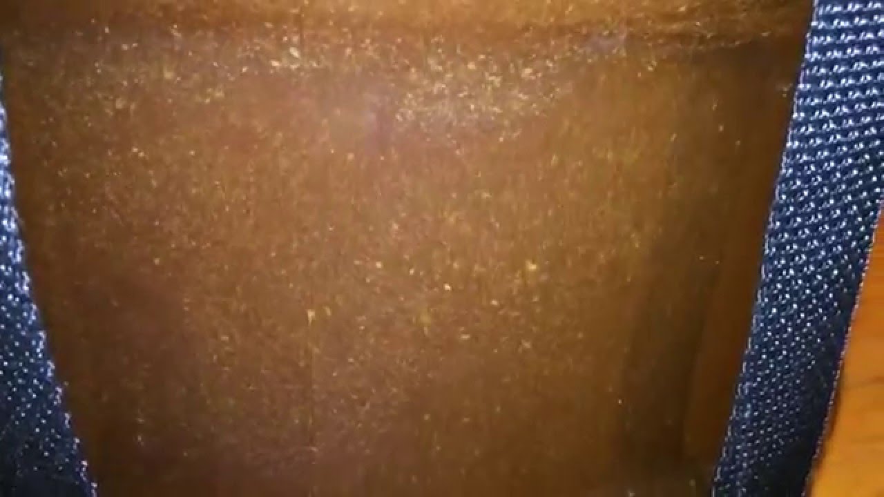 Fermenting Beer in a Big Mouth Bubbler