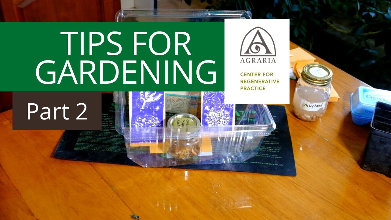 Tips for Gardening - Part 2