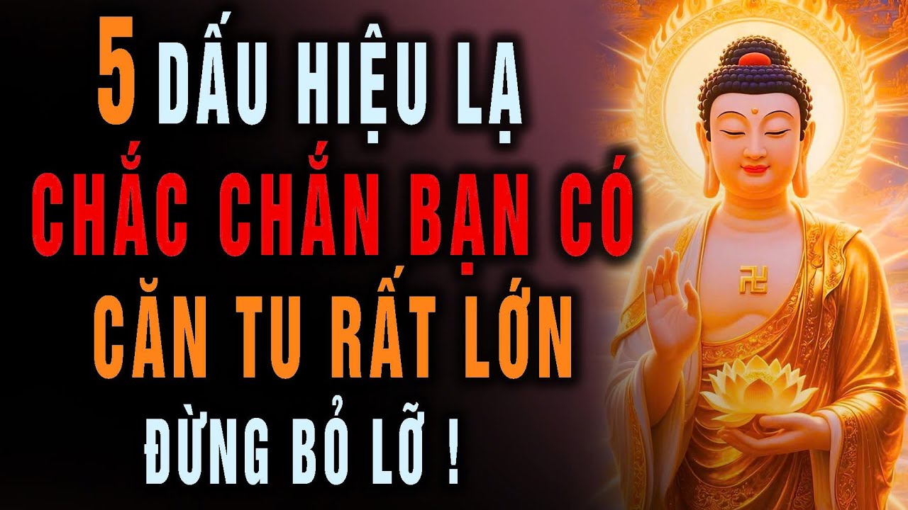 Nếu Thường Xuyên Gặp Những Dấu Hiệu Lạ Này, Chắc Chắn Bạn Có Căn Tu Rất Lớn, Đừng Bỏ Lỡ