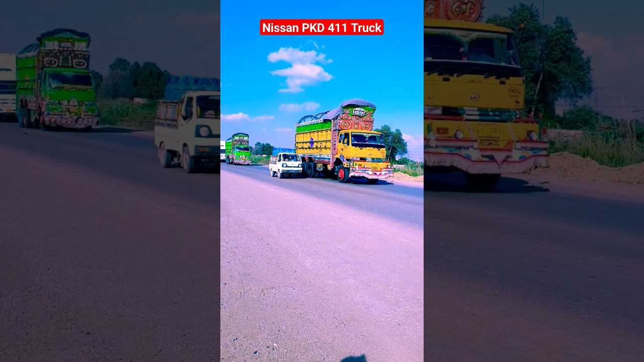 Beautiful Nissan PKD 411 10 wheeler truck #nissan #pkd411 #truck #viral #trucklifepakistan #shorts