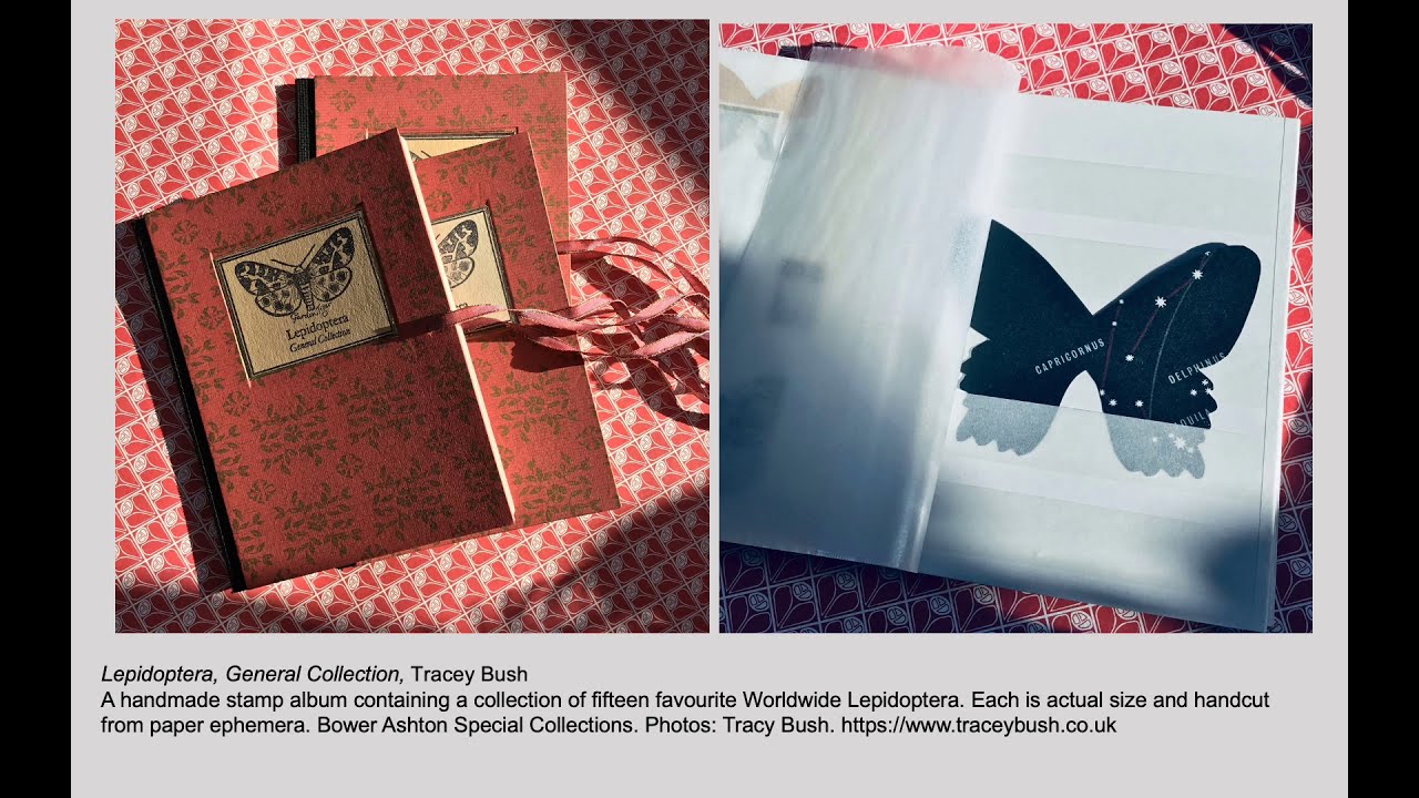 Artists’ Books from the Archives, Sarah Bodman