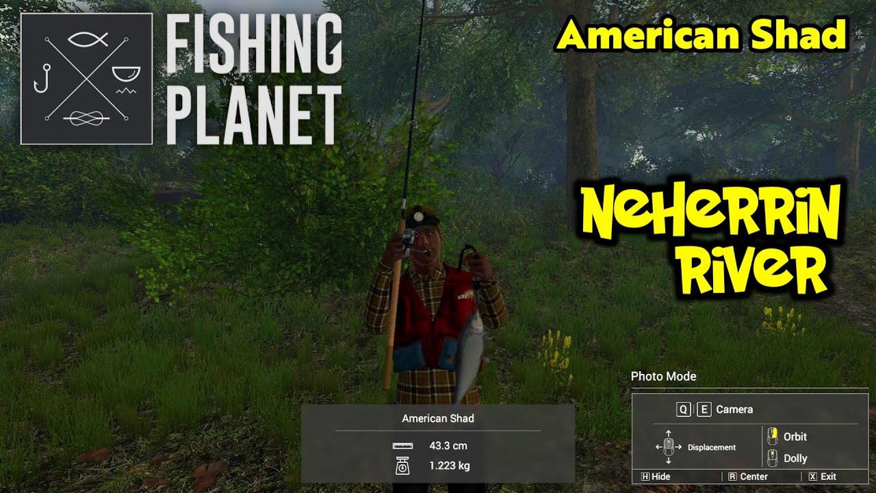 American Shad Neherrin River - Fishing Planet