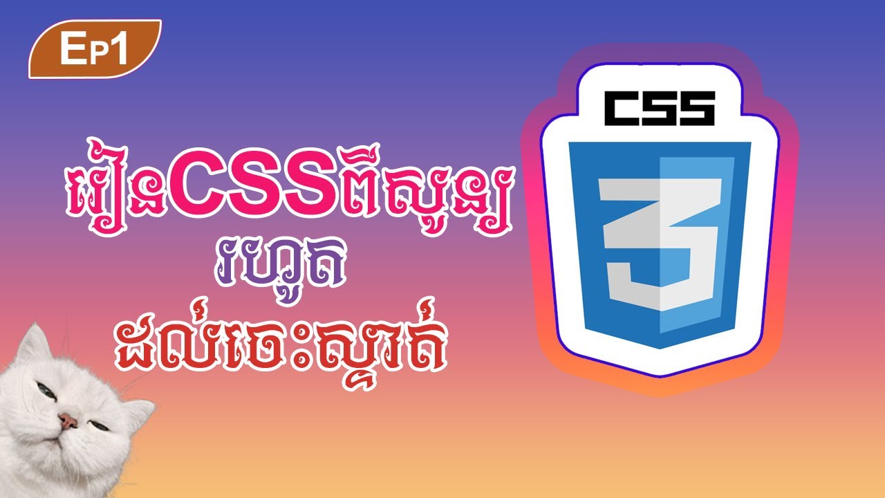 Ep1 | CSS មូលដ្ឋានសម្រាប់អ្នកថ្មី 🚀Beginner CSS Tutorial
