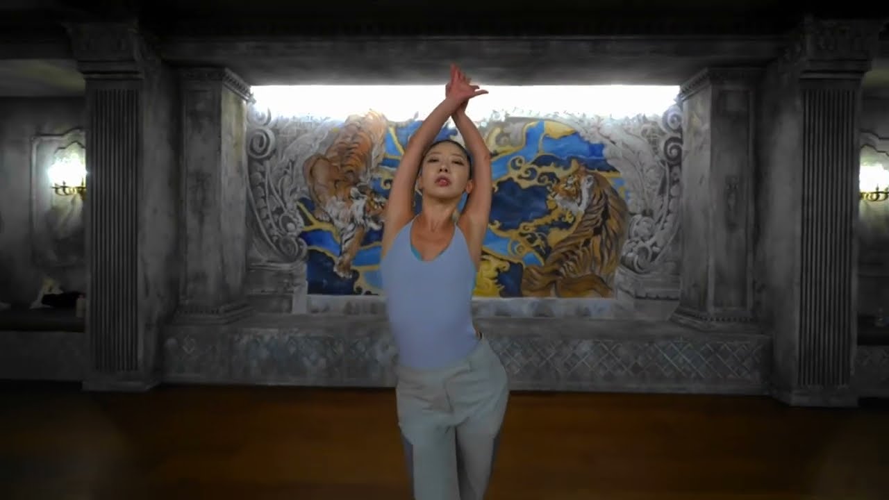 Silvergun choreography performance on You&Me by JENNIE ||MIRRORED||