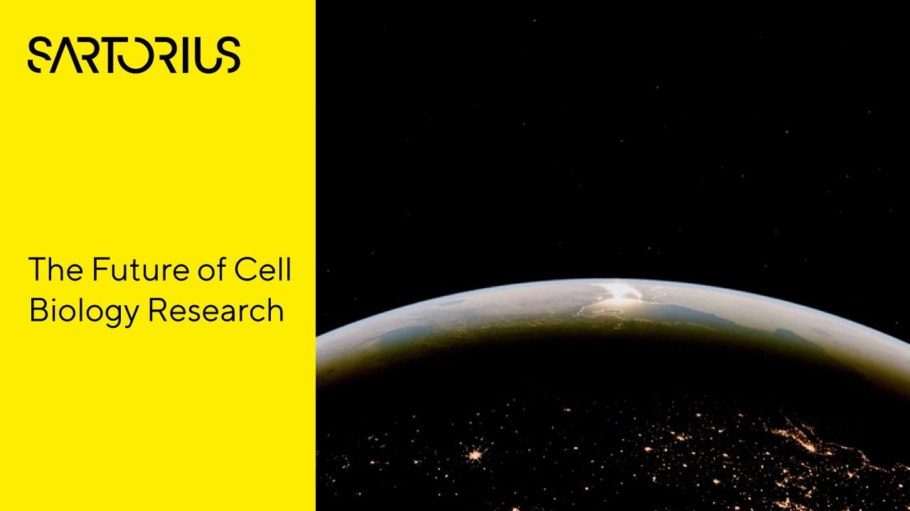 Live-Cell Imaging and Analysis: Capturing Biology in Real Time