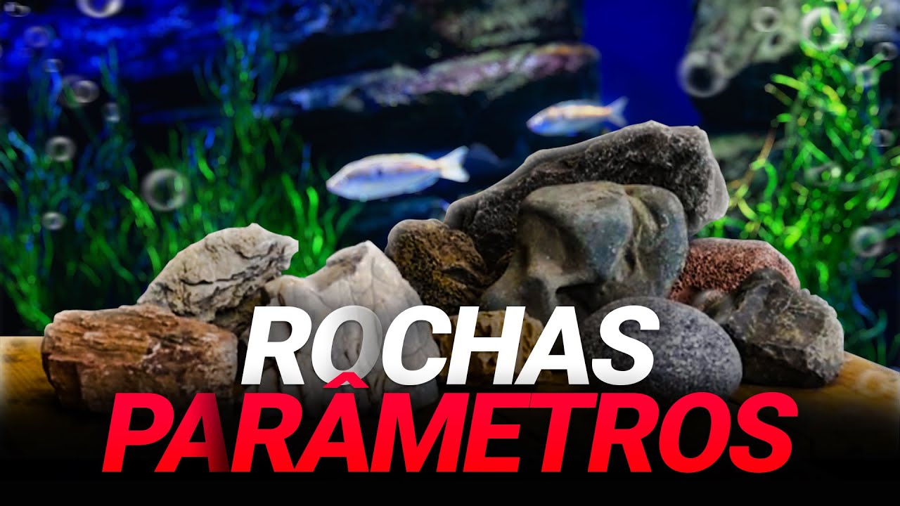ESCOLHA AS MELHORES ROCHAS PARA O SEU AQUÁRIO!