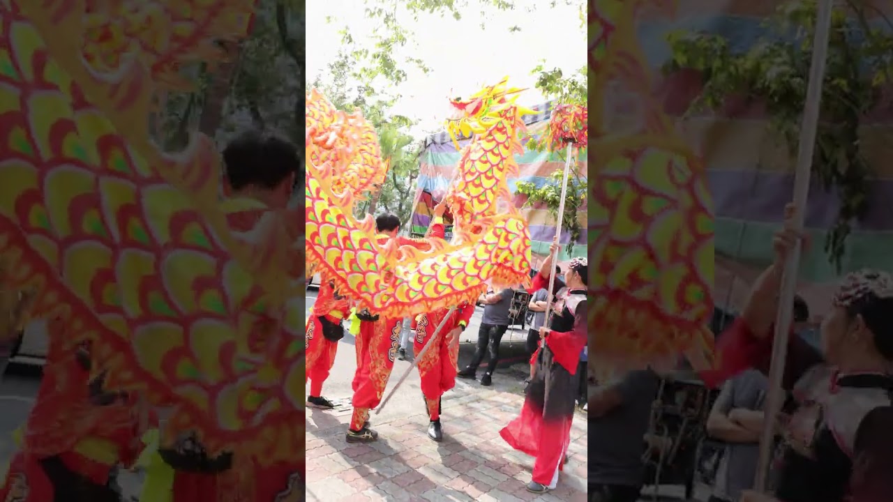 #太子龍獅團 #龍陣 #廟會 #遶境 #高雄 #前鎮 #廟會紀實