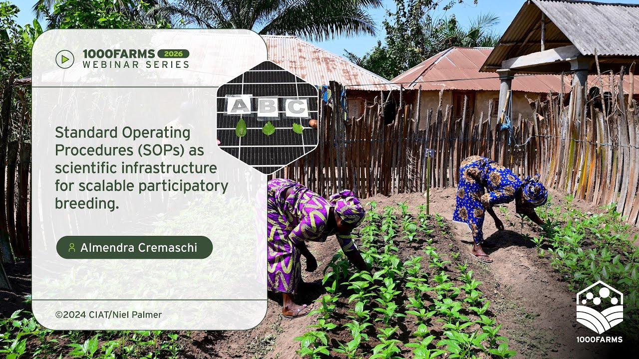 Standard Operating Procedures as scientific infrastructure for scalable participatory breeding