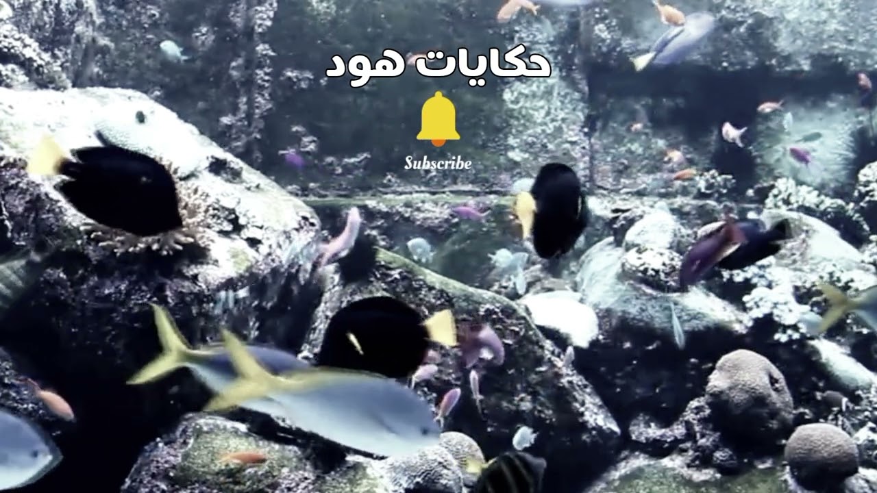 مقت....ولين في ظروف غامضة