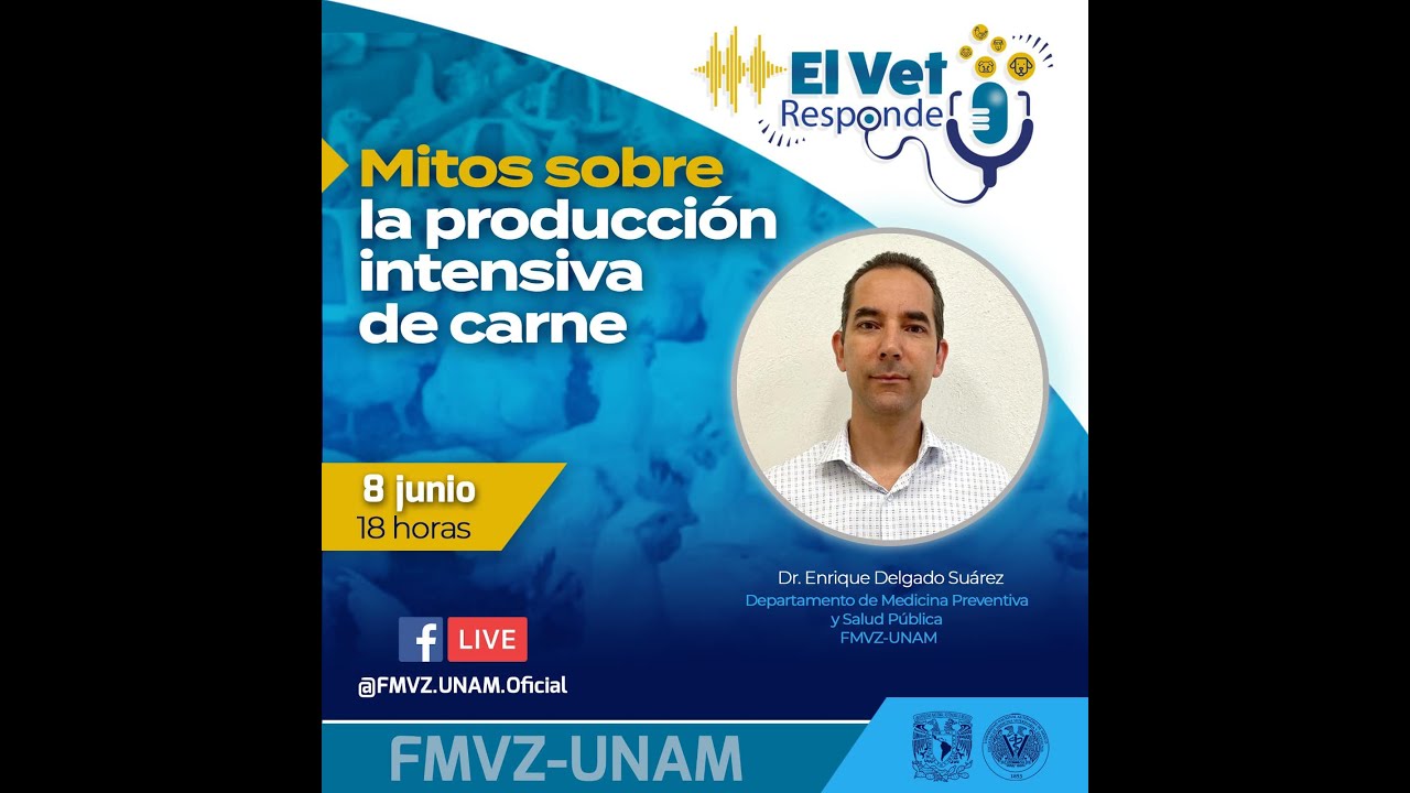 Mitos sobre producción intensiva de carne