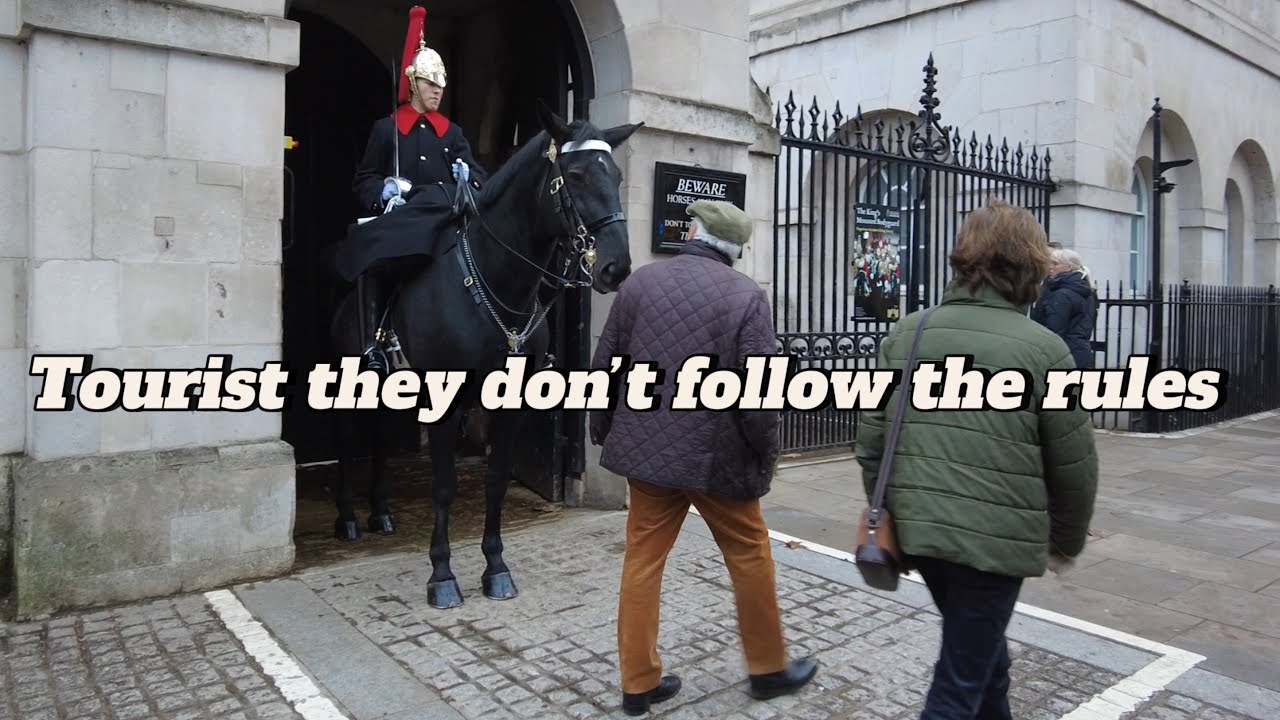 Blues and Royals - Tourist they don&rsquo;t follow the rules guard shout