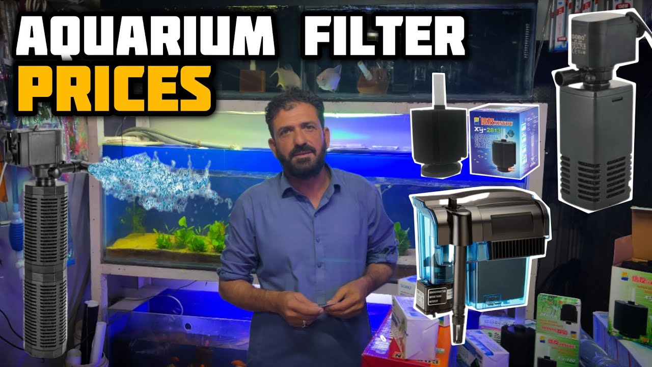 Fish Aquarium Filter Prices - Rainbow Aquarium Fish Shop Lalukhet Aquarium Market - Imran's World